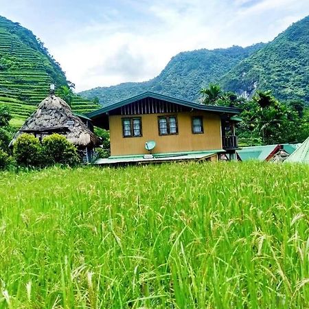 Batad Village Homestay & Restaurant バナウェ エクステリア 写真