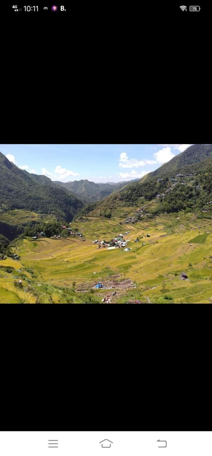 Batad Village Homestay & Restaurant バナウェ エクステリア 写真