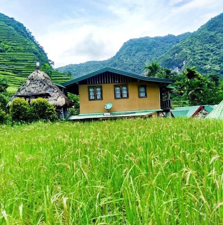 Batad Village Homestay & Restaurant バナウェ エクステリア 写真